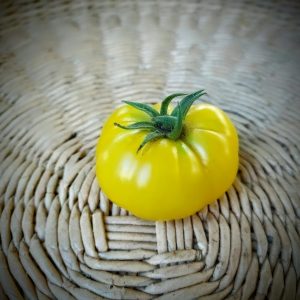 Tomate Yellow Ruffled
