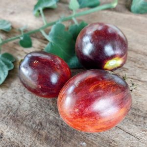 Tomate Acero damasco