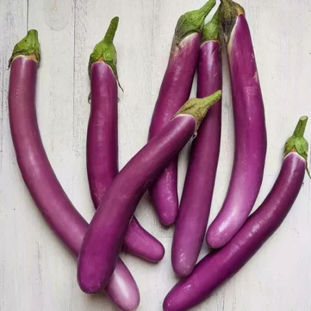 Berenjena Violeta larga