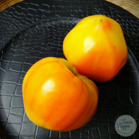 Tomate German Gold