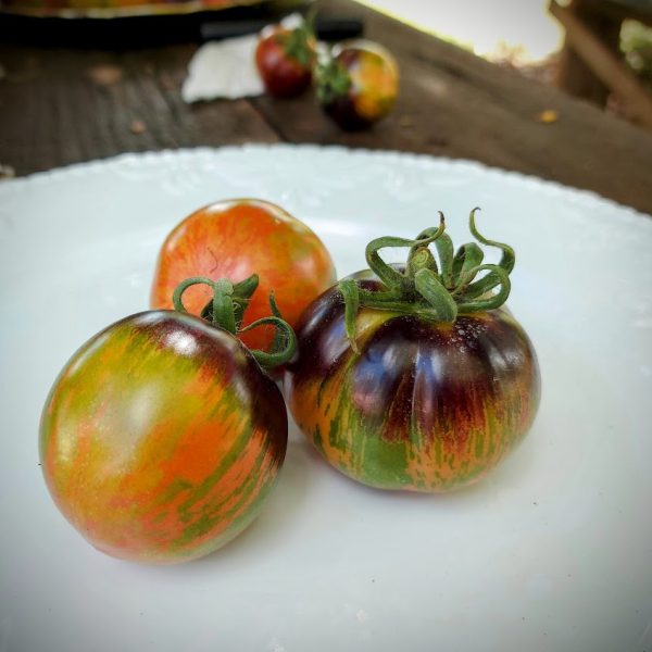 Tomate Indigo Rose