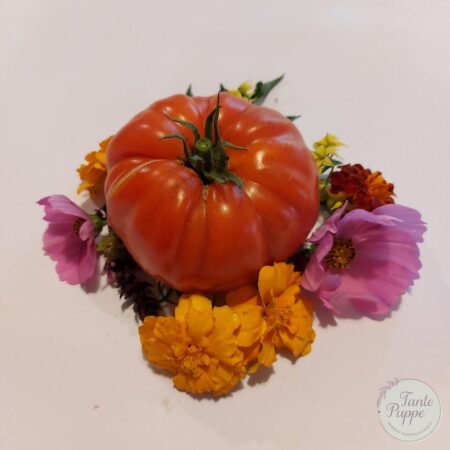 Semillas de Tomate Limachino Rojo