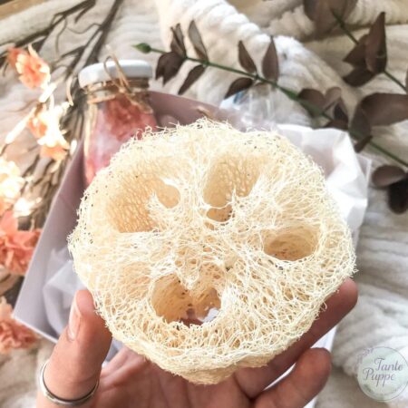 Semillas de Luffa orgánica para esponja vegetal en Huerto Tante Puppe