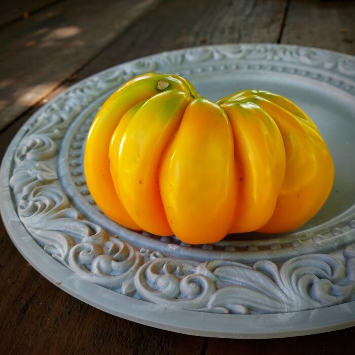 original_c7dd08f1-5606-4cc5-81c8-6bfdfd905ec2_Orange acordeon original_c7dd08f1-5606-4cc5-81c8-6bfdfd905ec2_Orange acordeon