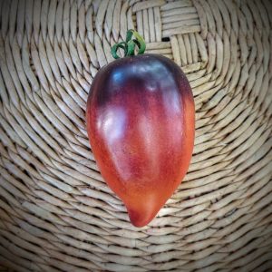 Tomate Pascal di Picardie