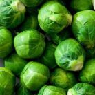 repollito brusela