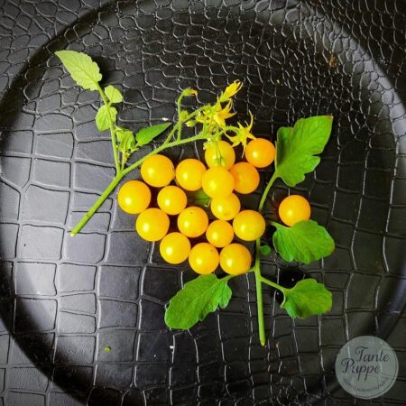 Tomate Tenca amarillo