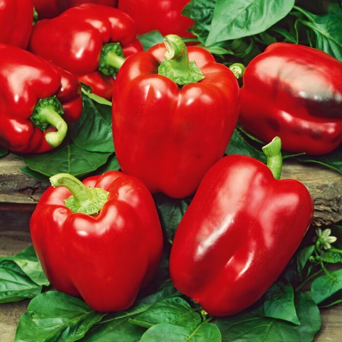 pimiento rojo