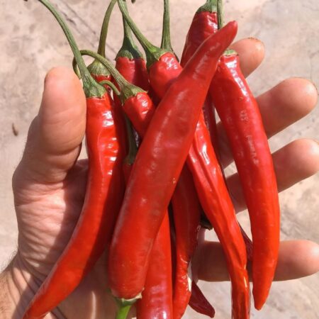 Pimienta de Cayena