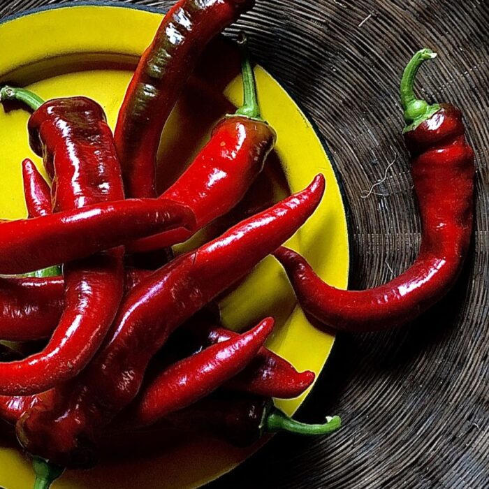 PIMIENTO JIMMY NARDELLO