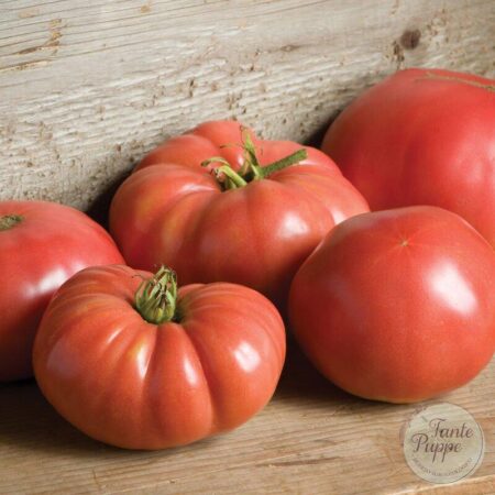 Tomate German Johnson