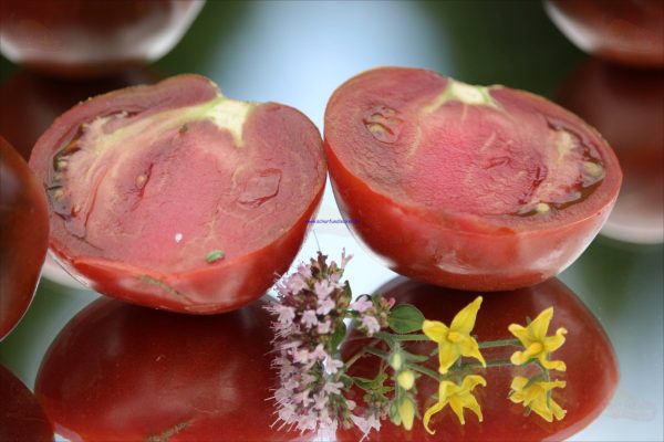 Tomate Lilac Lake