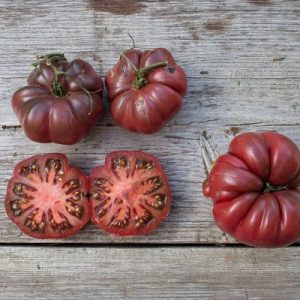 Tomate Purple Calabash