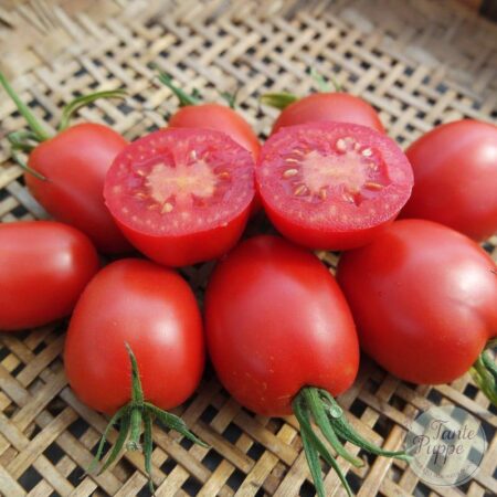 Tomate Quadro