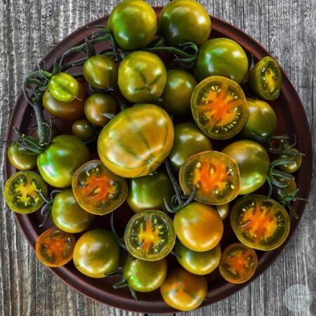 Tomate Evil Olive