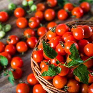 Tomate Mexico Midget