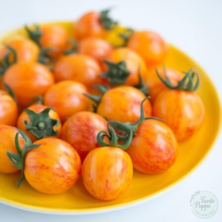 Tomate Purple Bumblebee