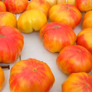 Tomate Old German