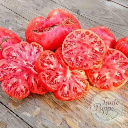 Tomate Watermelon Beefsteak