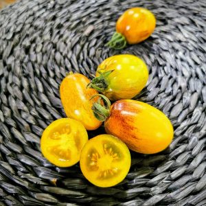 Tomate Atomic Sunset