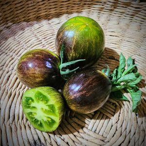 Tomate Atomic Fusion