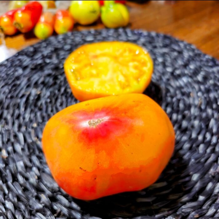 Screenshot_20240319_134426_Photos Screenshot_20240319_134426_Photos