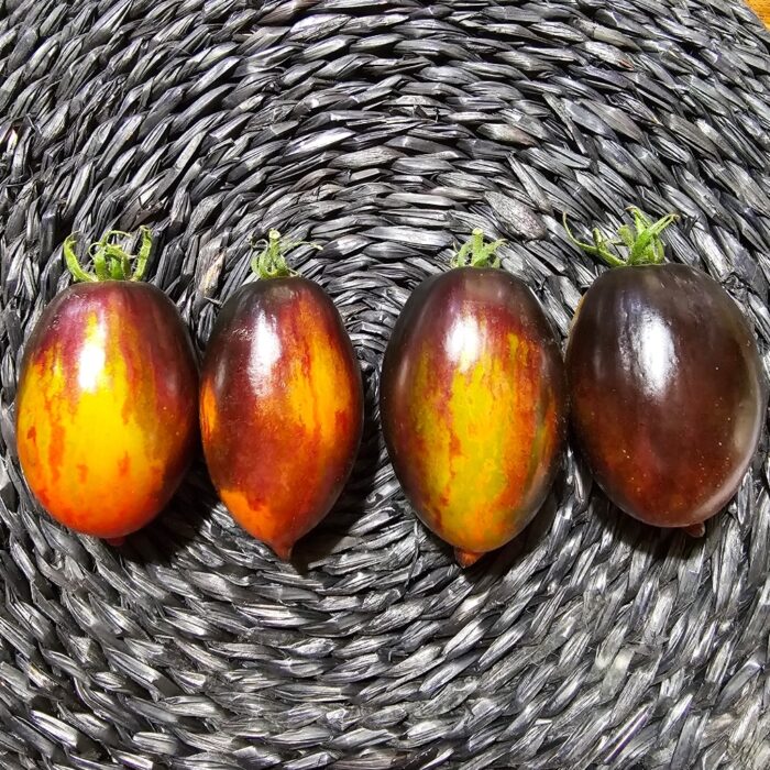 Screenshot_20240319_144358_Photos Screenshot_20240319_144358_Photos