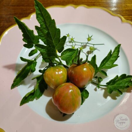 Tomate Pink Vernissage