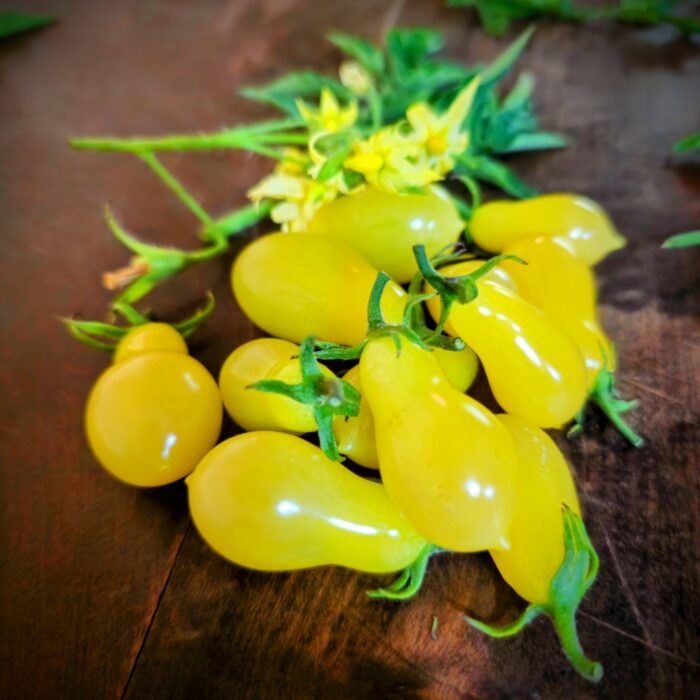 Screenshot_20240319_145012_Photos Screenshot_20240319_145012_Photos