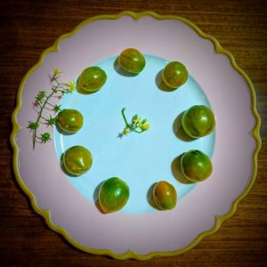 Tomate Evil Olive