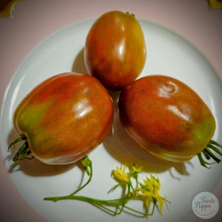 Tomate Ukranian Purple