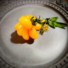 Screenshot_20240319_145951_Photos