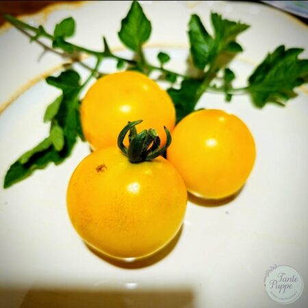 Tomate Sunrise