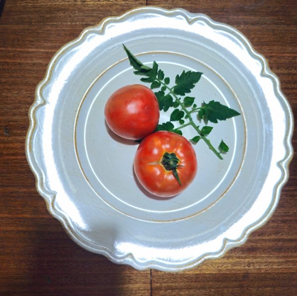 Tomate New Yorker
