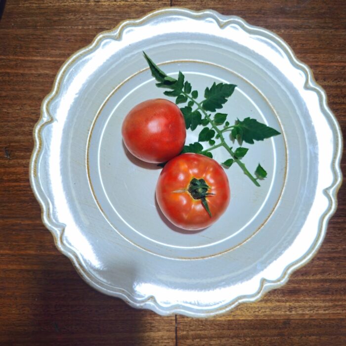 Screenshot_20240319_150850_Photos Screenshot_20240319_150850_Photos