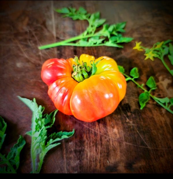 Tomate Mortgage