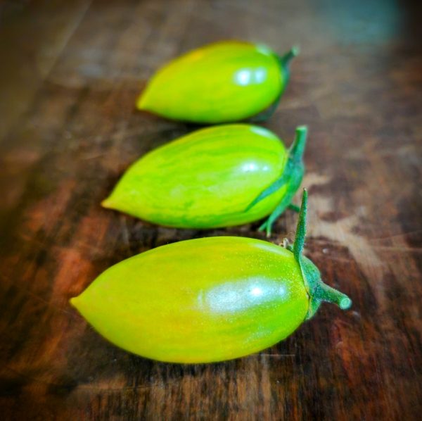 Tomate Lucky Tiger