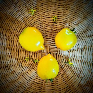 Tomate Citrine amarillo