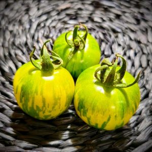 Tomate Green Vernissage
