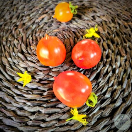 Tomate Orange Roussollini