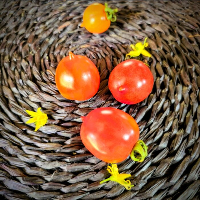 Screenshot_20240319_161237_Photos Screenshot_20240319_161237_Photos