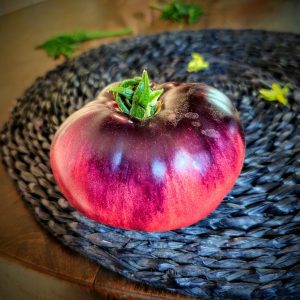 Tomate Mar azul