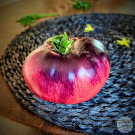 Tomate Mar azul