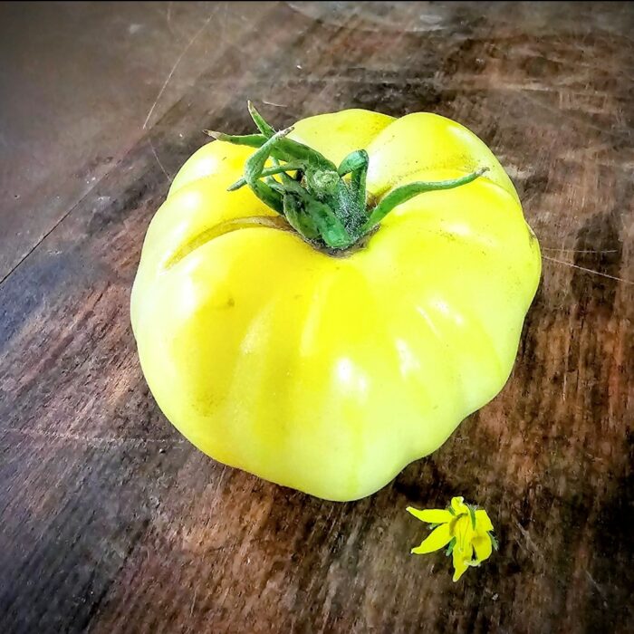 Screenshot_20240319_161815_Photos