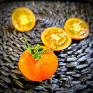 Tomate Moneymaker