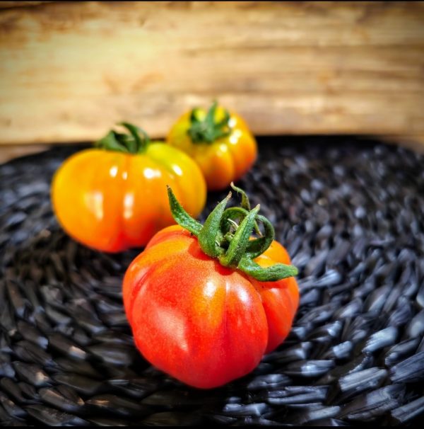 Tomate Druzba