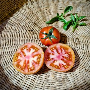 Tomate Peron Sprayless