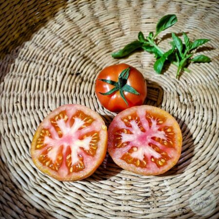 Tomate Peron Sprayless