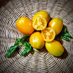 Tomate Pimiento amarillo