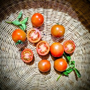Tomate Stupice